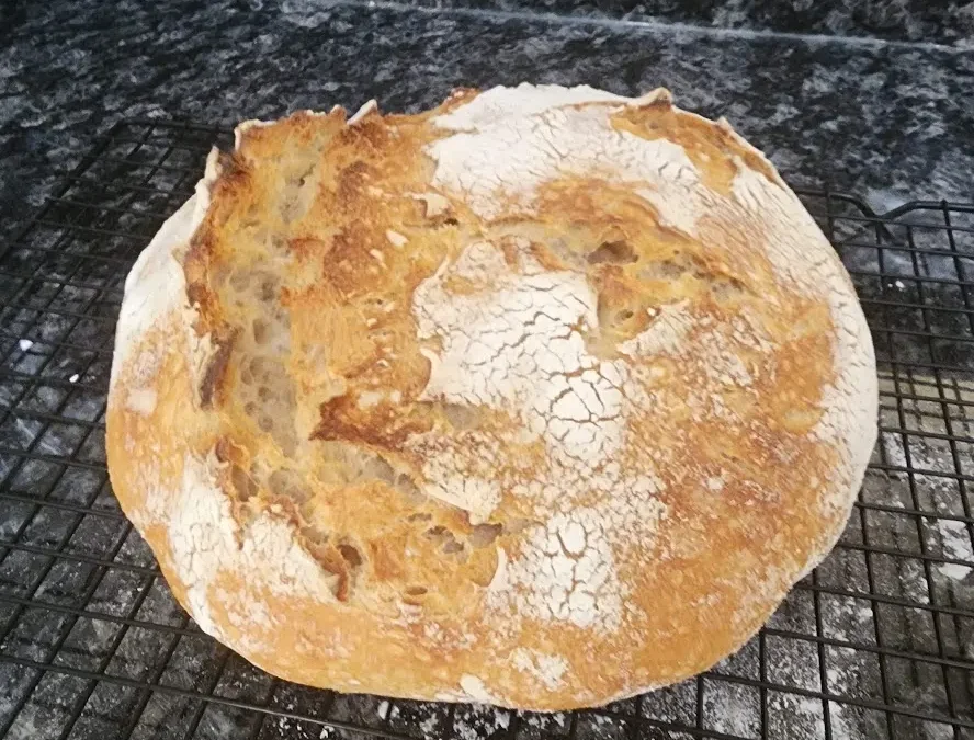 Sourdough - first loaf