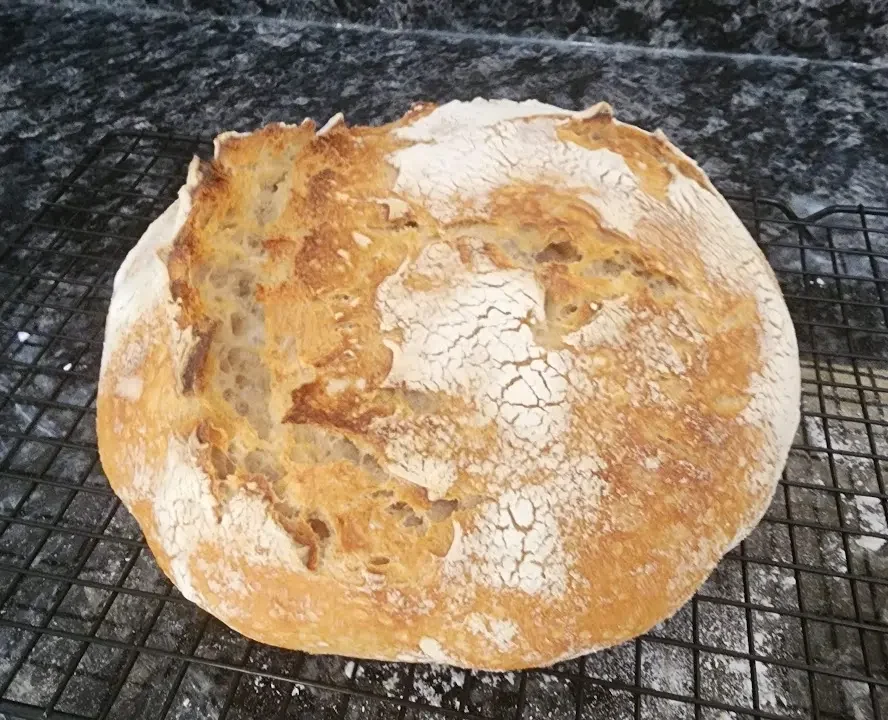 Sourdough - first loaf