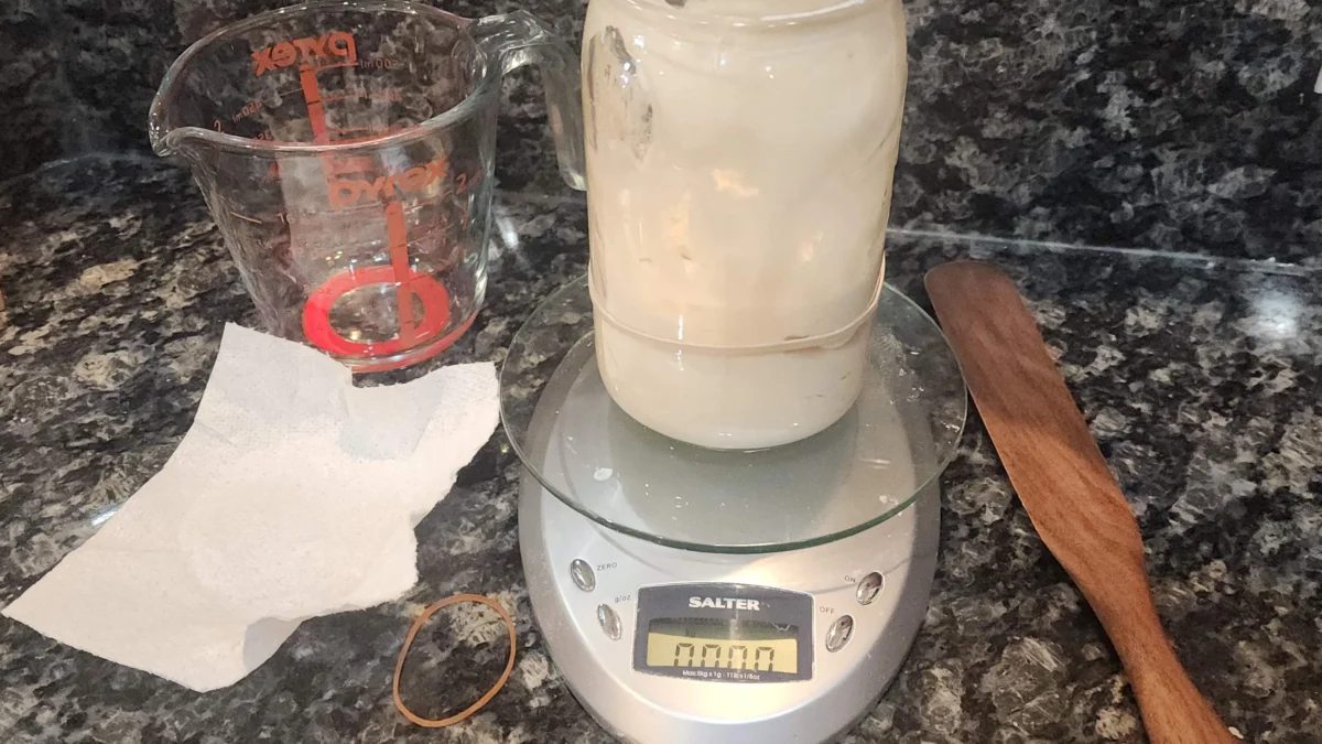 Sourdough Starter Setup