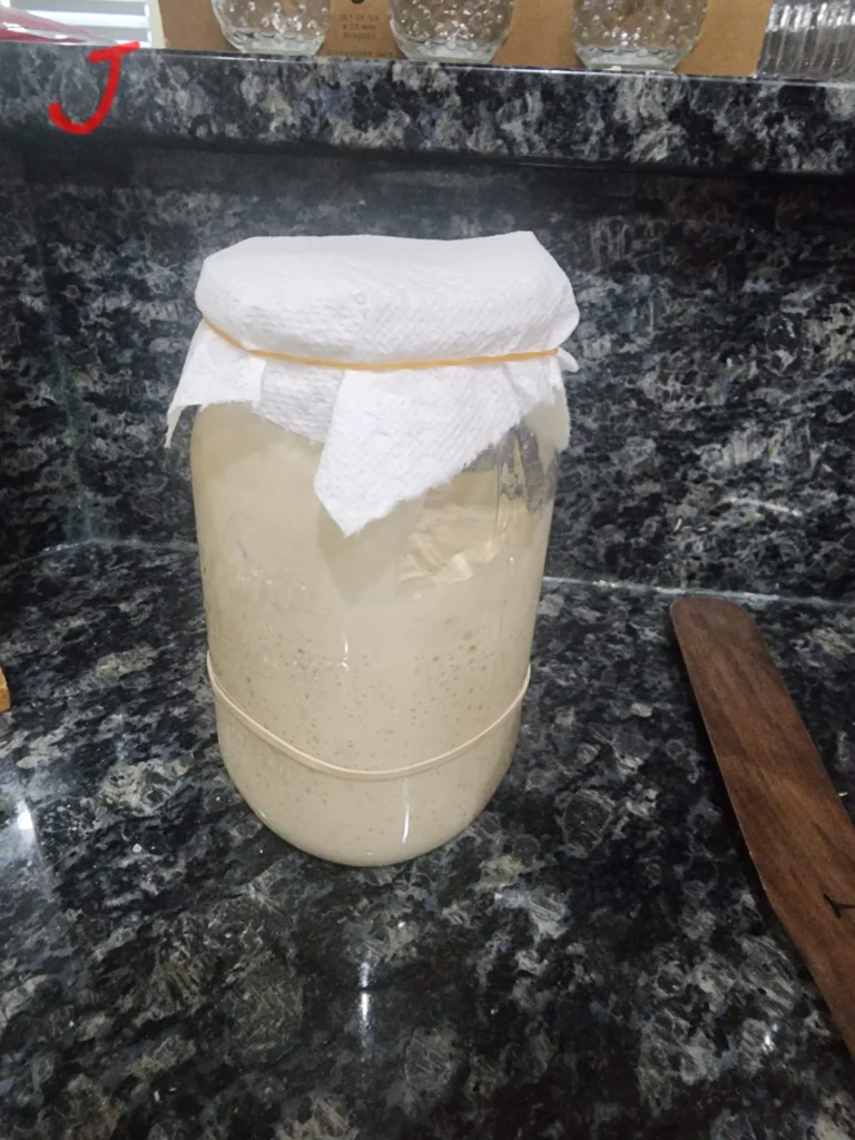 Sourdough starter 12 hours